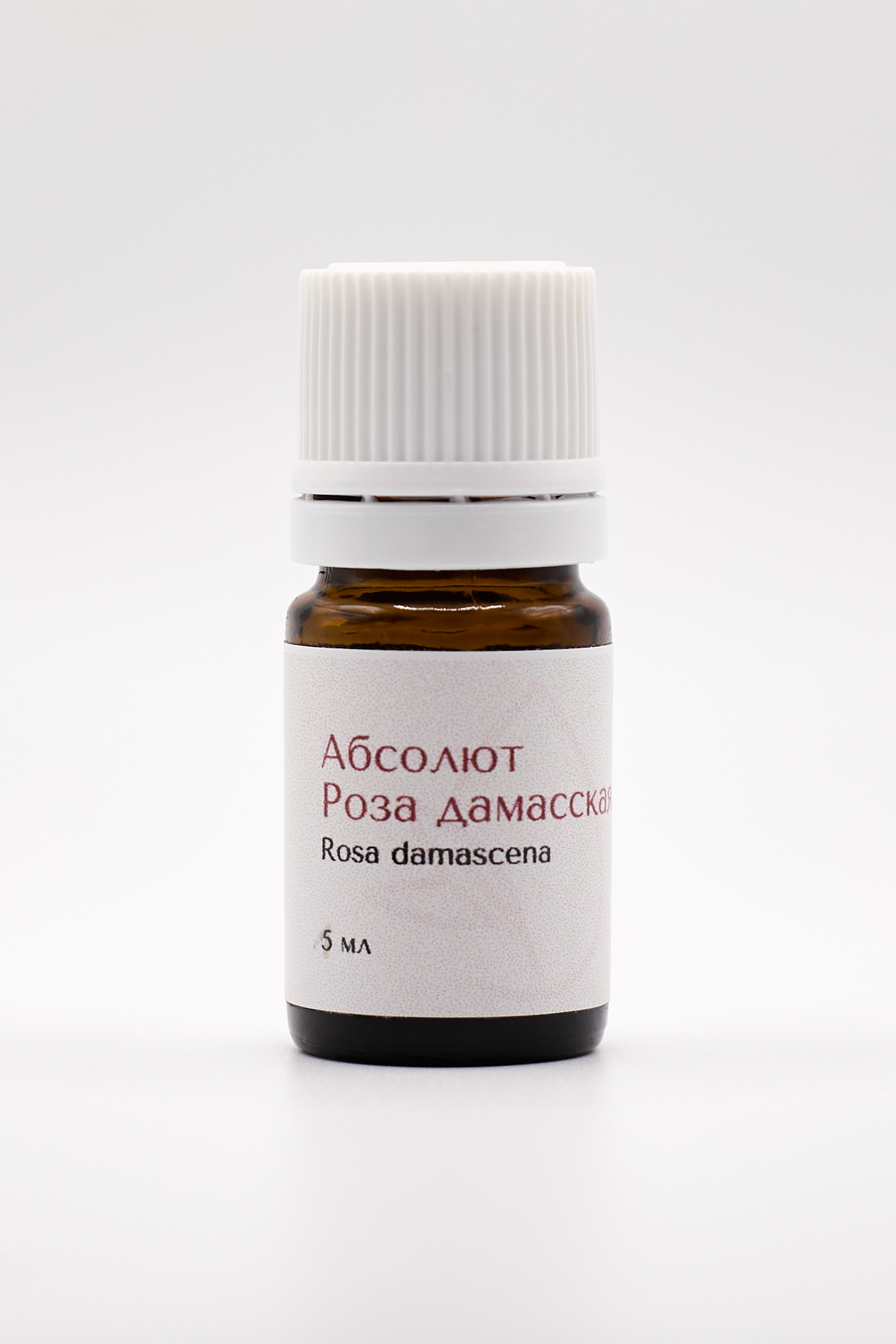 Роза дамасская абсолют