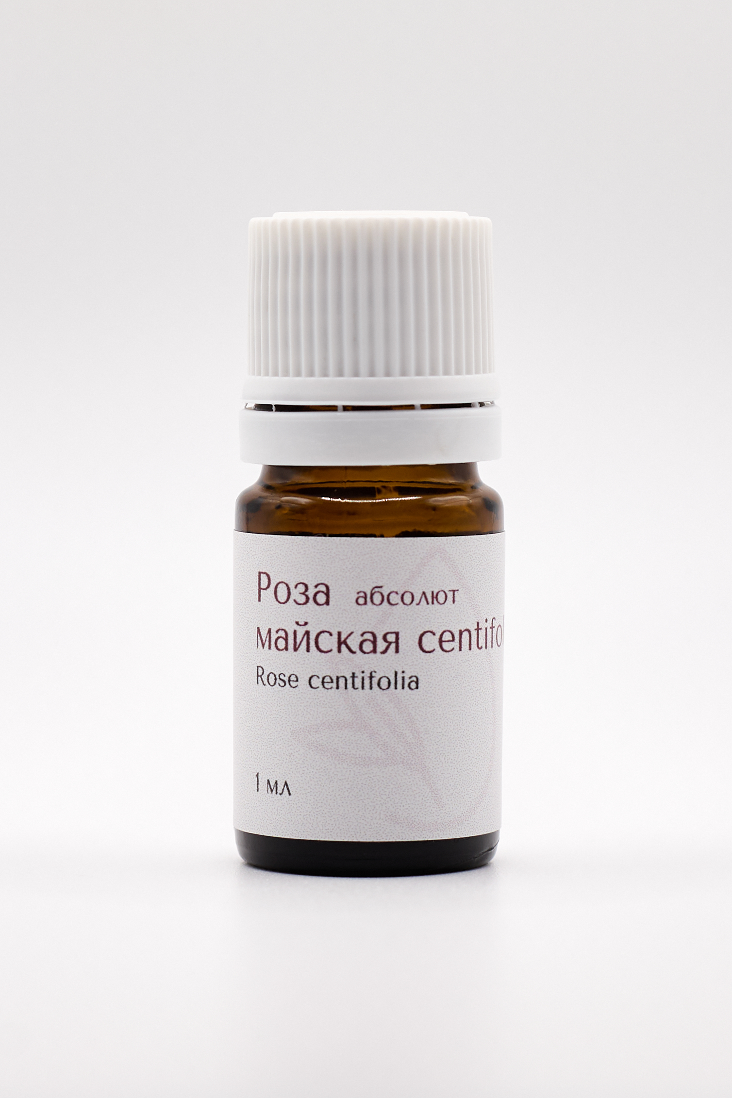 Роза майская (centifolia) абсолют