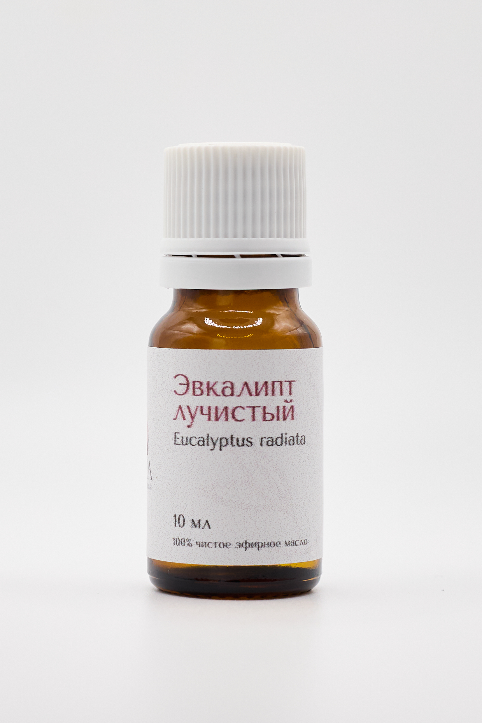 Эвкалипт лучистый эфирное масло