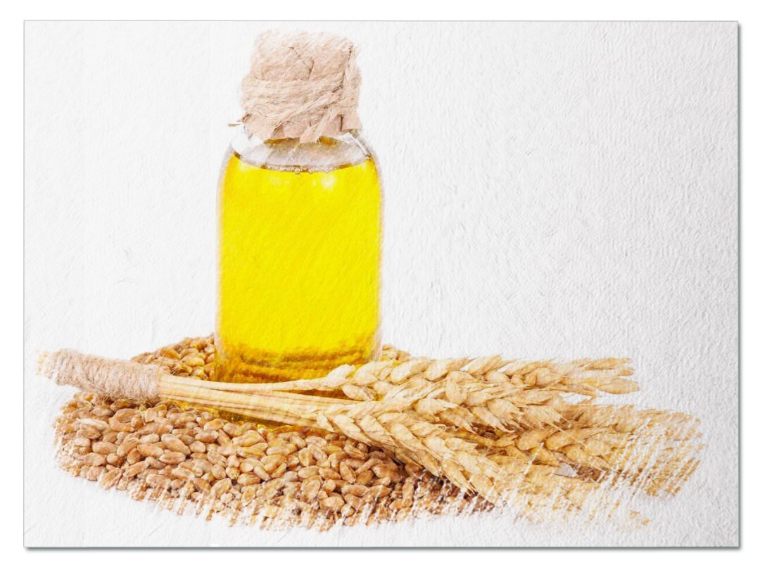 Зародыши пшеницы жирное масло