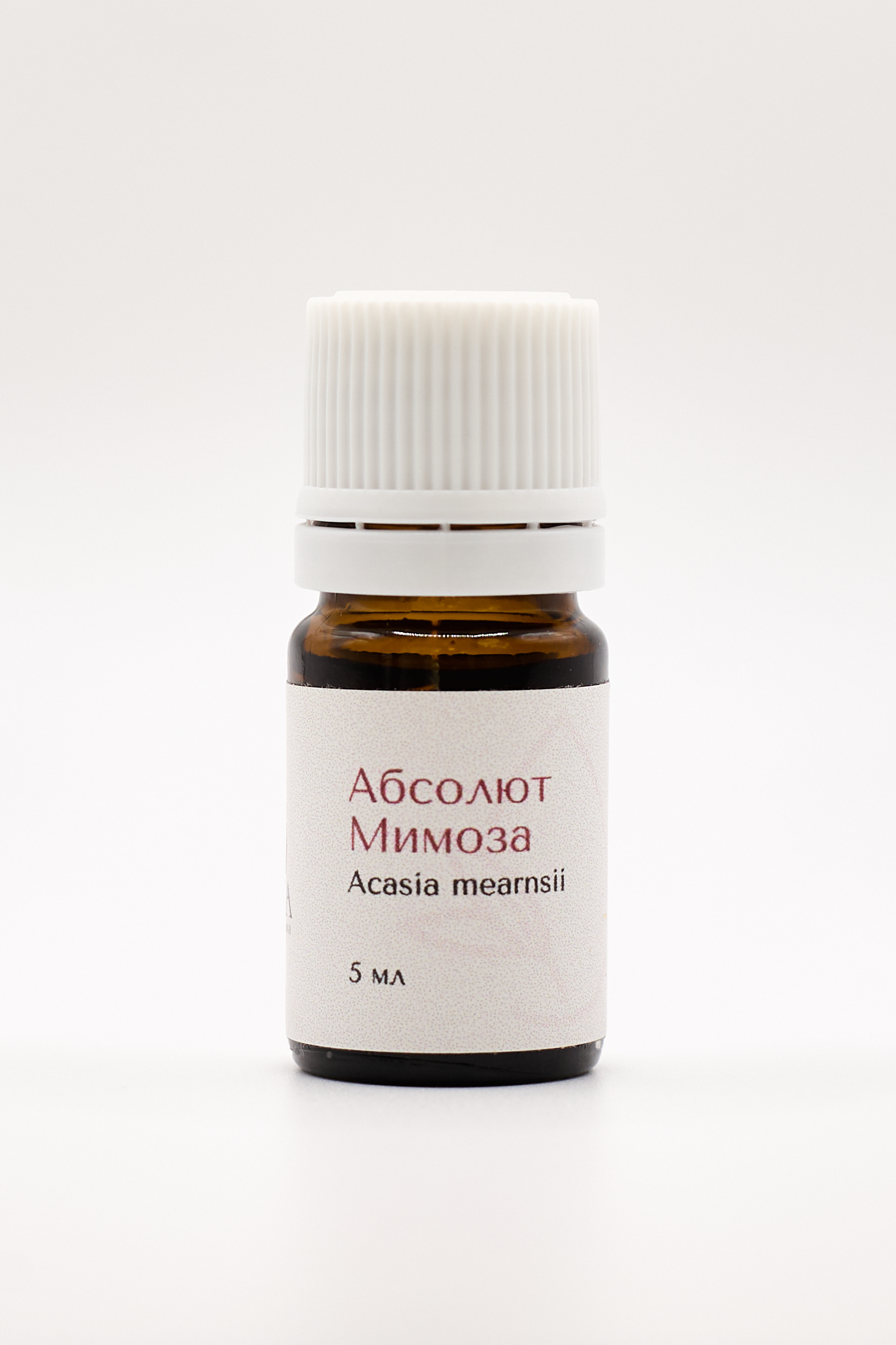 Мимоза абсолют