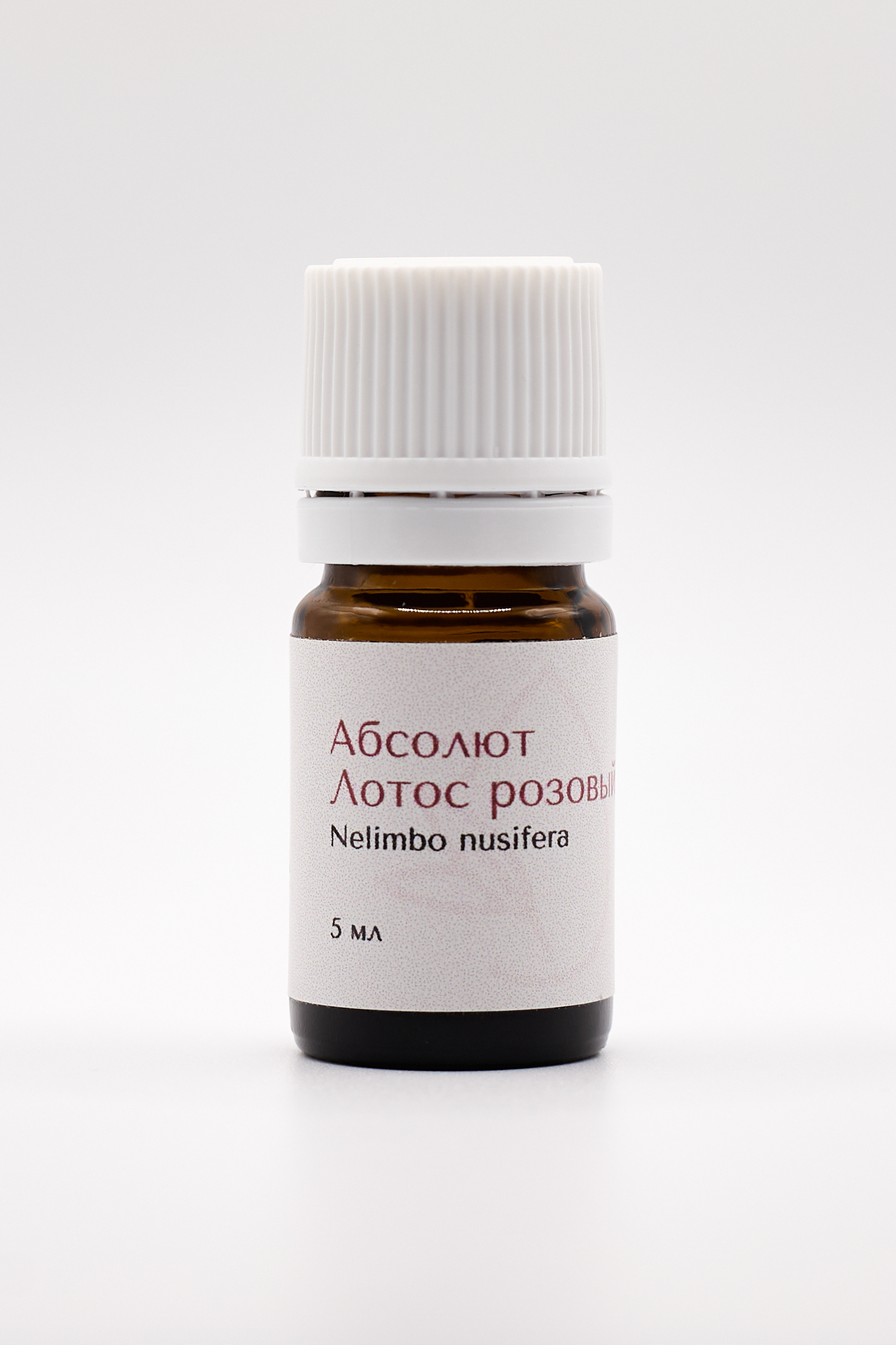 Лотос розовый абсолют