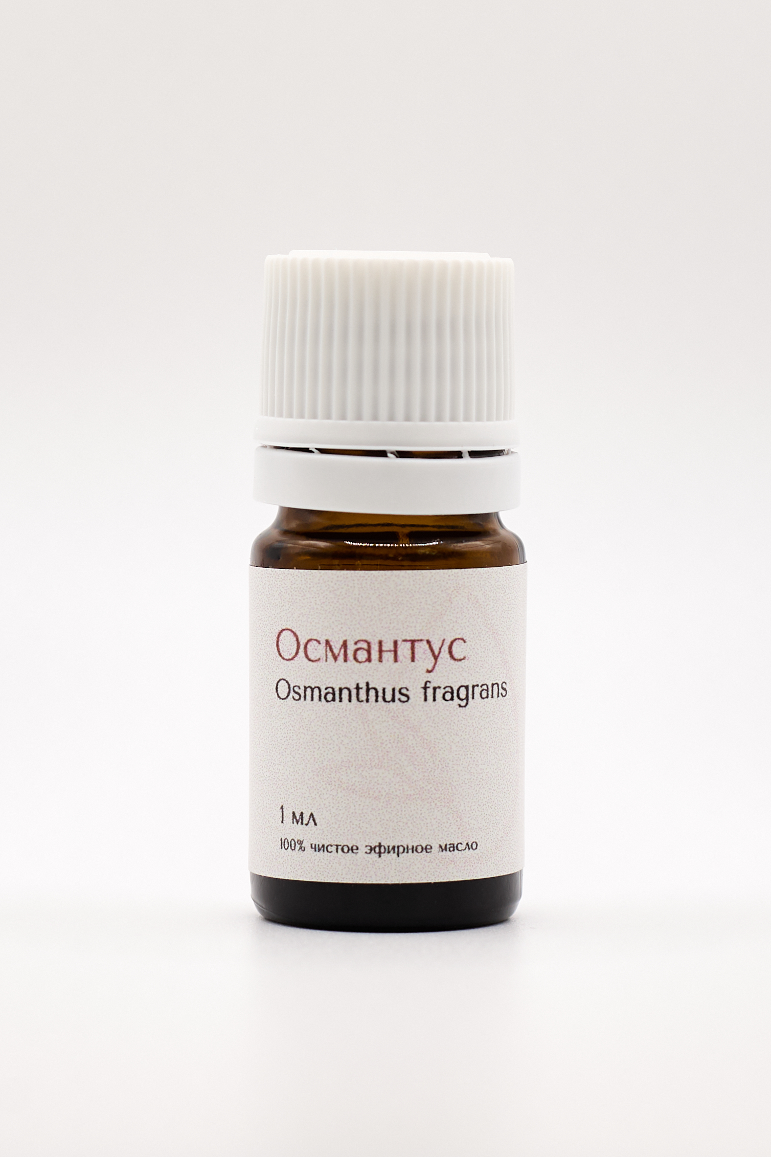 Османтус абсолют